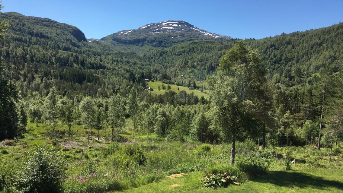 Voss Lodge Rongastovo エクステリア 写真